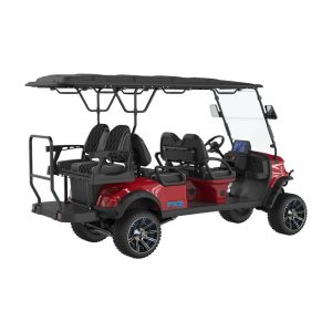 EV Premium Electric Cart 6 Seater (4+2)